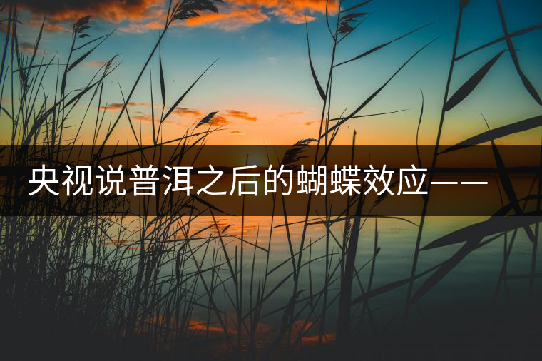 央視說普洱之后的蝴蝶效應——過度開采會出現(xiàn)“死循環(huán)”？