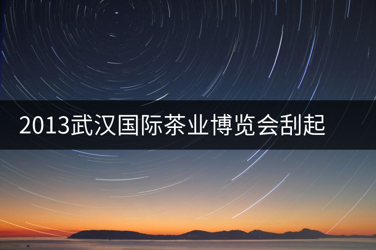 2013武漢國際茶業(yè)博覽會刮起一股“黑旋風
