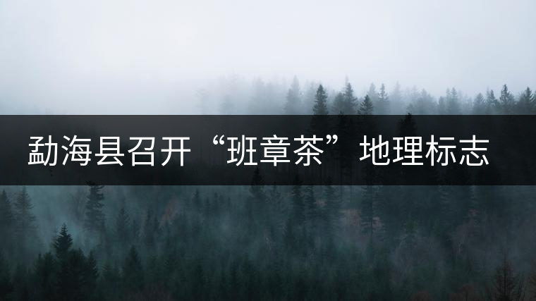 勐?？h召開(kāi)“班章茶”地理標(biāo)志認(rèn)證評(píng)審會(huì)