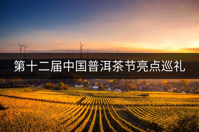 第十二屆中國(guó)普洱茶節(jié)亮點(diǎn)巡禮