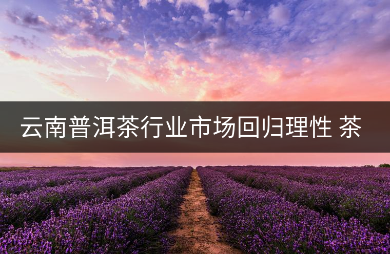 云南普洱茶行業(yè)市場回歸理性 茶商發(fā)力消費(fèi)市場 云南普洱茶行業(yè)市場回歸理性 茶商發(fā)力消費(fèi)市場