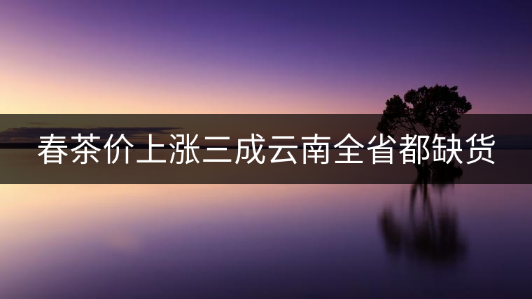 春茶價上漲三成云南全省都缺貨 春茶價上漲三成云南全省都缺貨