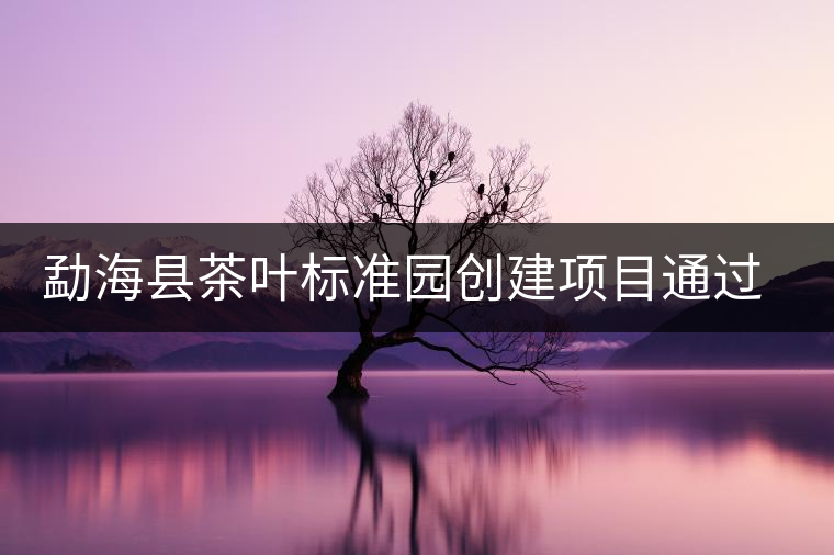 勐?？h茶葉標(biāo)準(zhǔn)園創(chuàng)建項目通過省級驗收