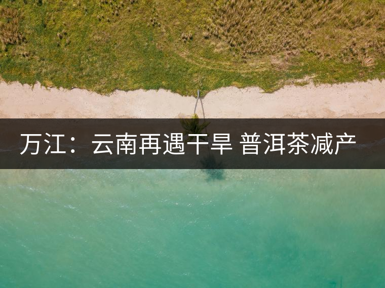 萬江:云南再遇干旱 普洱茶減產(chǎn)漲價 萬江:云南再遇干旱 普洱茶減產(chǎn)漲價