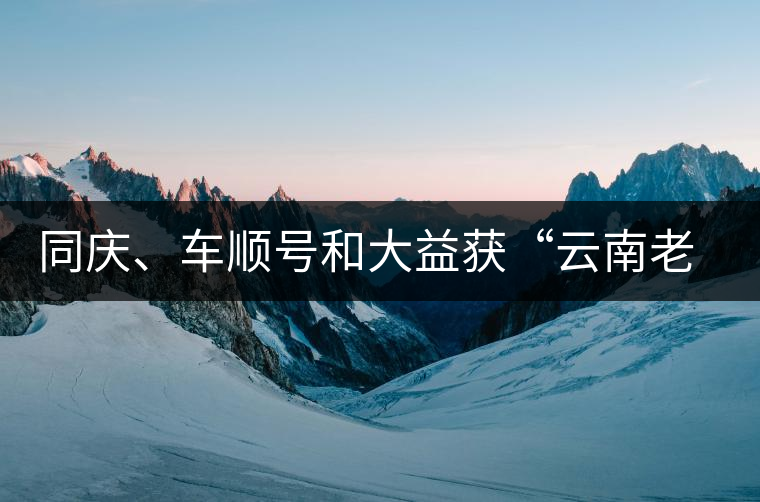 同慶、車順號(hào)和大益獲“云南老字號(hào)”稱號(hào)
