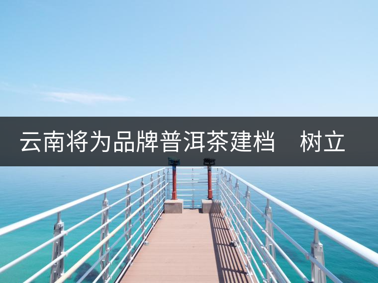 云南將為品牌普洱茶建檔　樹(shù)立產(chǎn)品整體形象