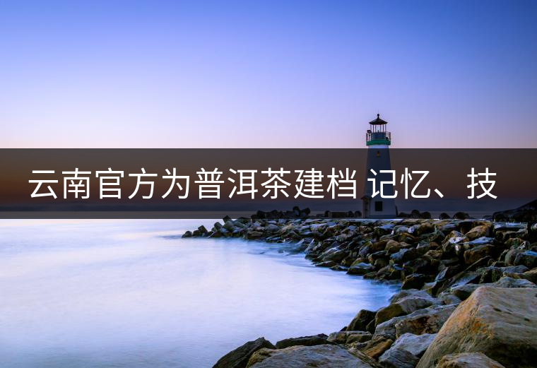 云南官方為普洱茶建檔 記憶、技藝雙傳承