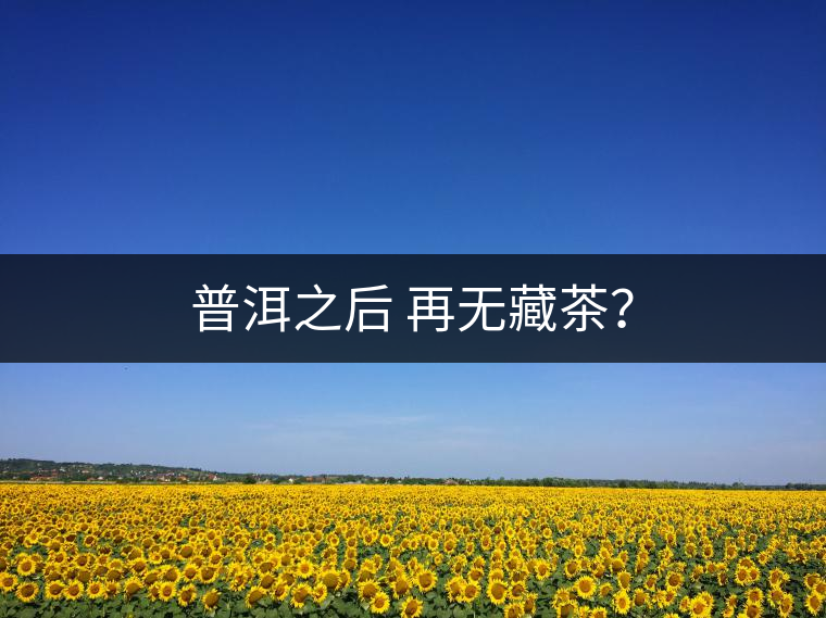 普洱之后 再無藏茶？