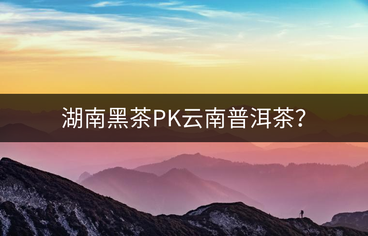 湖南黑茶PK云南普洱茶？