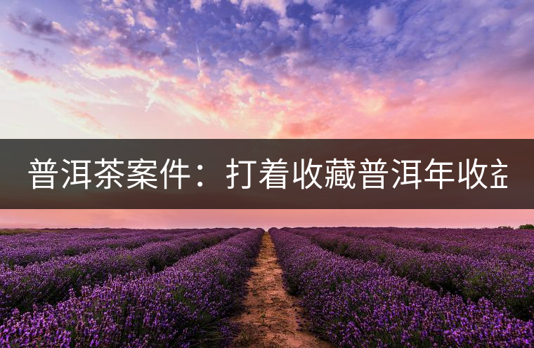 普洱茶案件：打著收藏普洱年收益不低于16%，非法吸收公眾存款