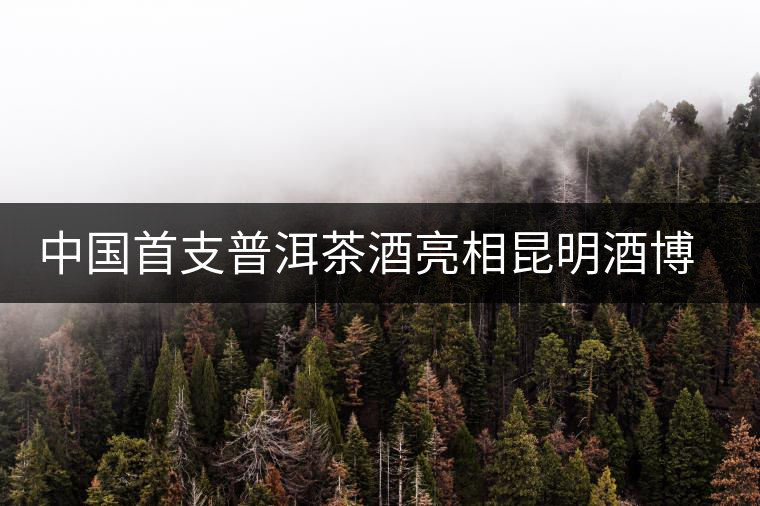 中國(guó)首支普洱茶酒亮相昆明酒博會(huì)