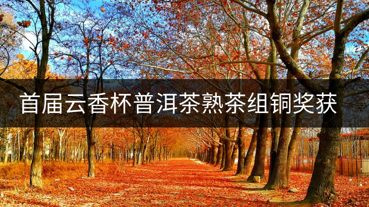 首屆云香杯普洱茶熟茶組銅獎獲獎名單 首屆云香杯普洱茶熟茶組銅獎獲獎名單