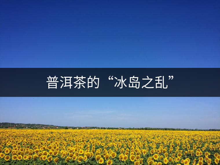 普洱茶的“冰島之亂”