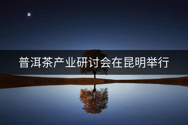 普洱茶產業(yè)研討會在昆明舉行