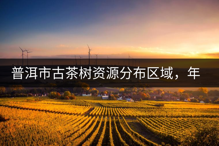 普洱市古茶樹資源分布區(qū)域，年產(chǎn)量多少?