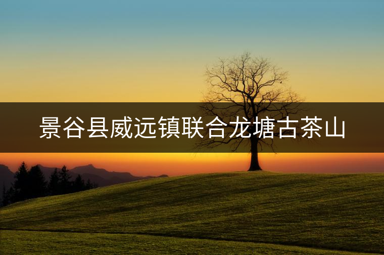 景谷縣威遠(yuǎn)鎮(zhèn)聯(lián)合龍?zhí)凉挪枭? alt=