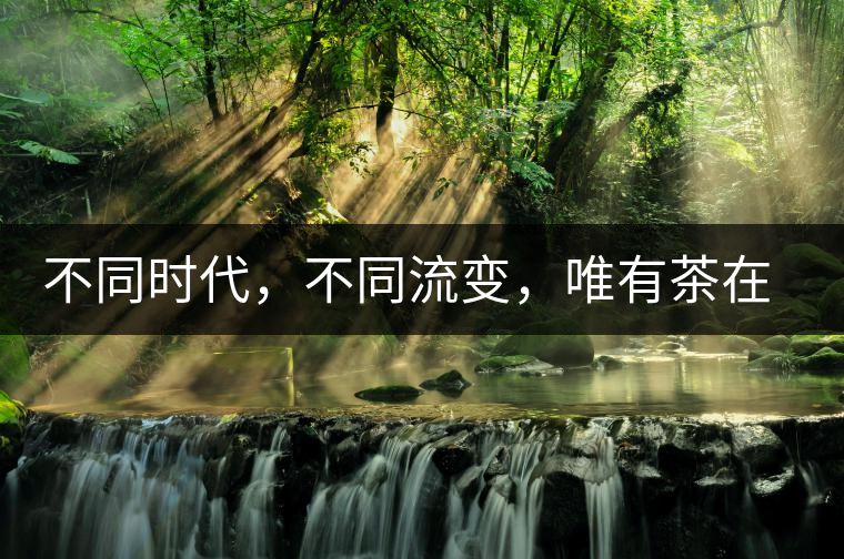 不同時代，不同流變，唯有茶在傳承