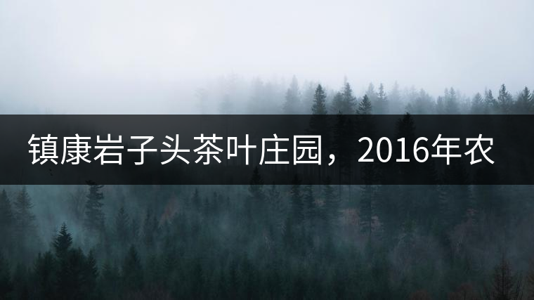 鎮(zhèn)康巖子頭茶葉莊園，2016年農(nóng)業(yè)產(chǎn)值達6000余萬元