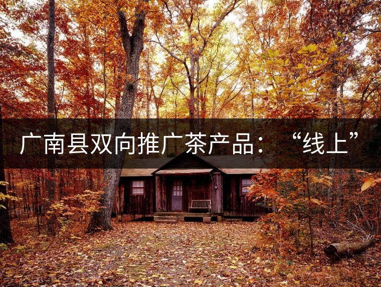 廣南縣雙向推廣茶產(chǎn)品：“線上”銷售茶葉已有100多家，“線下”銷售額已達(dá)百萬