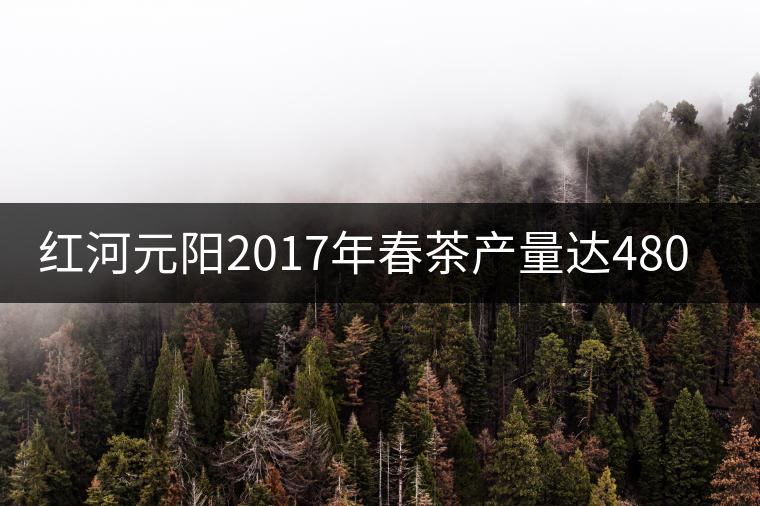 紅河元陽(yáng)2017年春茶產(chǎn)量達(dá)480噸，產(chǎn)值近900萬(wàn)元