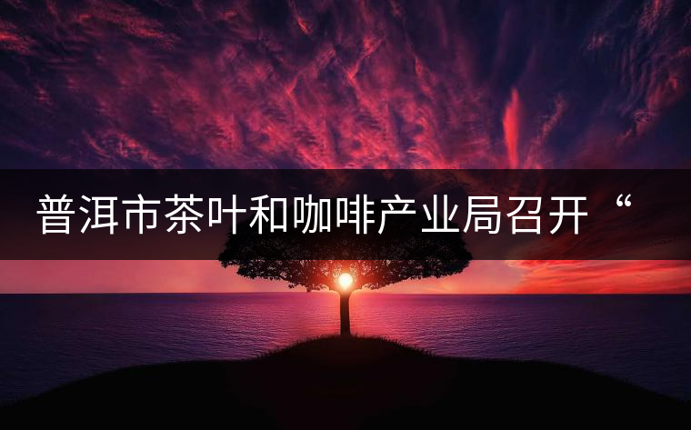 普洱市茶葉和咖啡產(chǎn)業(yè)局召開“新三板”培訓座談會