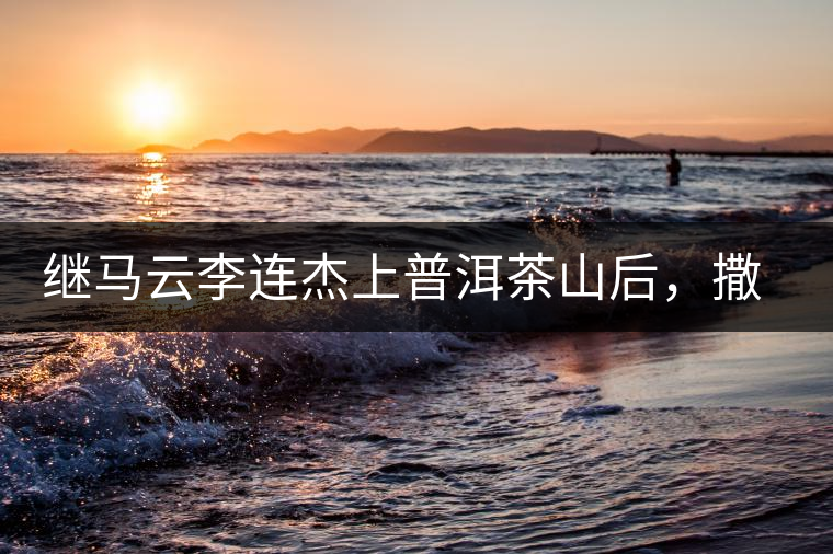 繼馬云李連杰上普洱茶山后，撒貝寧劉愷威也來了