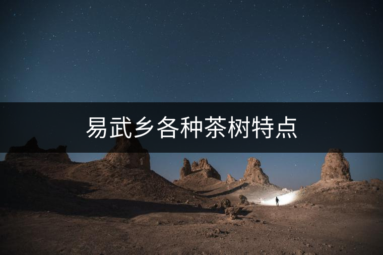 易武鄉(xiāng)各種茶樹特點