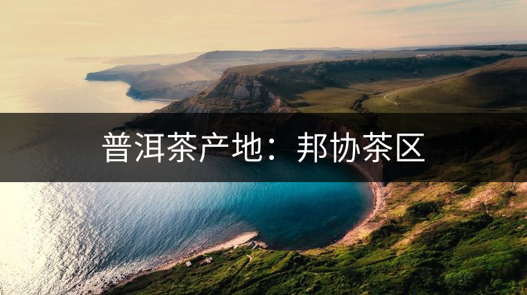 普洱茶產(chǎn)地：邦協(xié)茶區(qū)