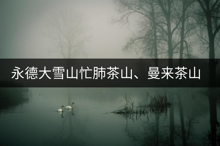 永德大雪山忙肺茶山、曼來茶山、放牛場茶園的生態(tài)指數(shù)