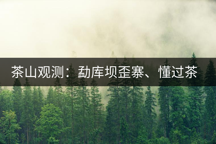 茶山觀測：勐庫壩歪寨、懂過茶山、大戶寨等茶山的生態(tài)指數(shù)