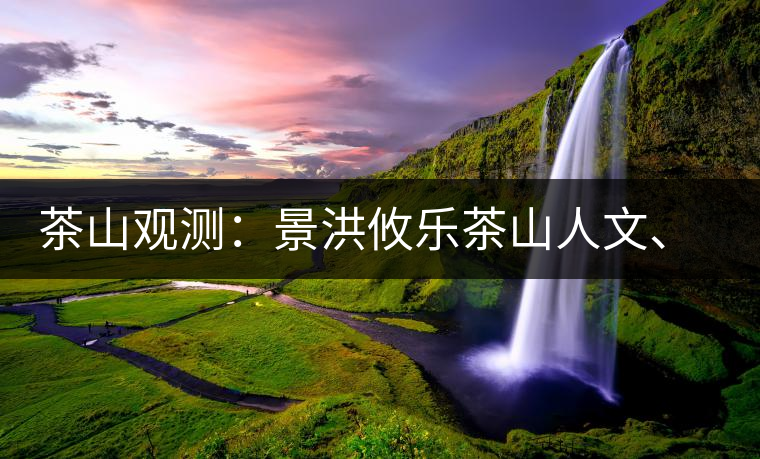 茶山觀測(cè)：景洪攸樂茶山人文、生態(tài)指數(shù)