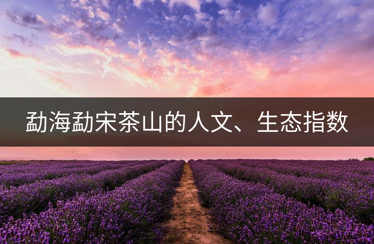 勐海勐宋茶山的人文、生態(tài)指數(shù) 勐海勐宋茶山的人文、生態(tài)指數(shù)