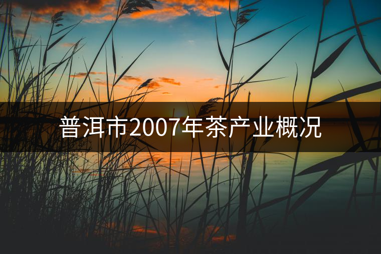 普洱市2007年茶產(chǎn)業(yè)概況 普洱市2007年茶產(chǎn)業(yè)概況