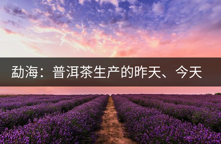 勐海：普洱茶生產(chǎn)的昨天、今天、明天