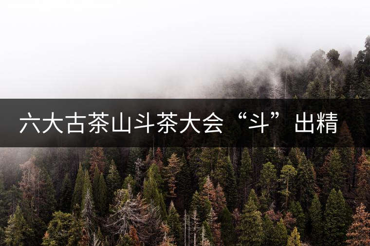 六大古茶山斗茶大會“斗”出精彩和希望