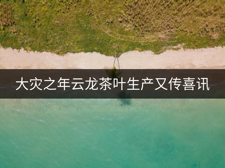 大災之年云龍茶葉生產(chǎn)又傳喜訊