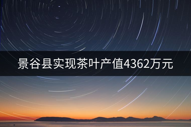 景谷縣實現(xiàn)茶葉產值4362萬元