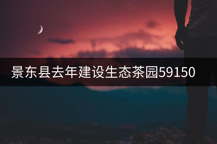 景東縣去年建設(shè)生態(tài)茶園59150畝