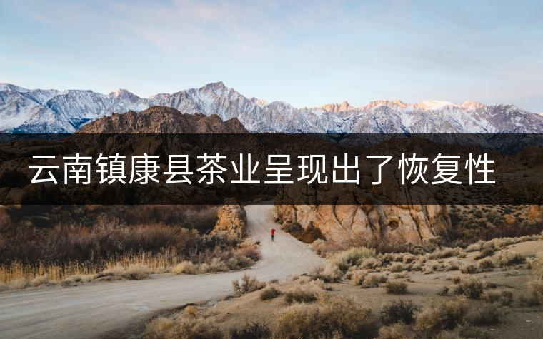 云南鎮(zhèn)康縣茶業(yè)呈現(xiàn)出了恢復(fù)性增長(zhǎng)的態(tài)勢(shì)