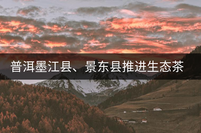 普洱墨江縣、景東縣推進(jìn)生態(tài)茶園建設(shè)