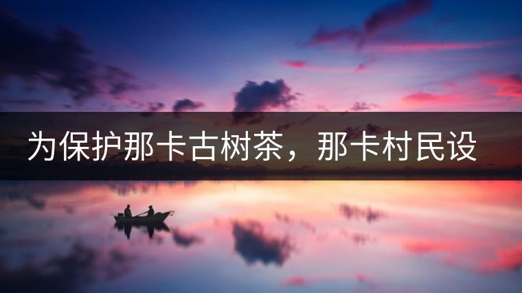 為保護那卡古樹茶，那卡村民設(shè)公約牌