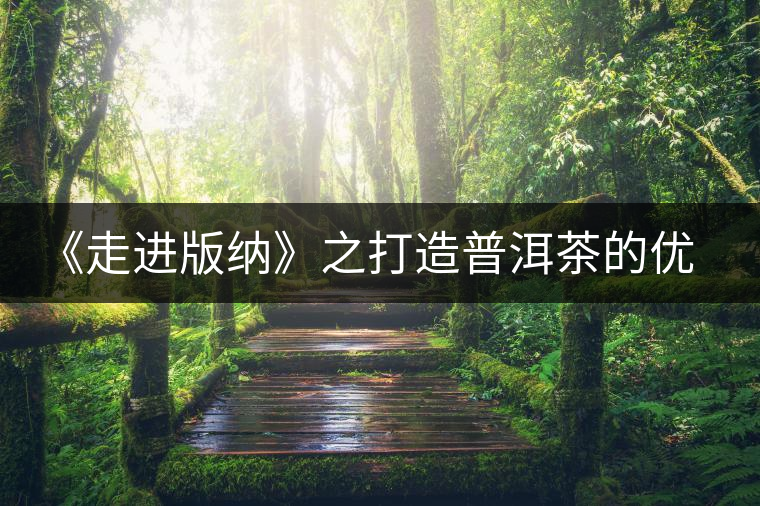 《走進版納》之打造普洱茶的優(yōu)質基地 《走進版納》之打造普洱茶的優(yōu)質基地