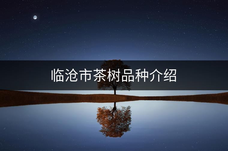 臨滄市茶樹(shù)品種介紹 臨滄市茶樹(shù)品種介紹