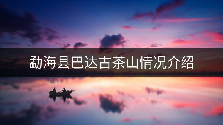 勐?？h巴達古茶山情況介紹