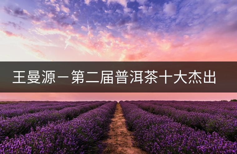 王曼源-第二屆普洱茶十大杰出人物介紹 王曼源-第二屆普洱茶十大杰出人物介紹