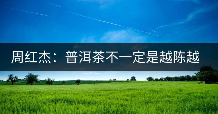 周紅杰：普洱茶不一定是越陳越香、越陳越好