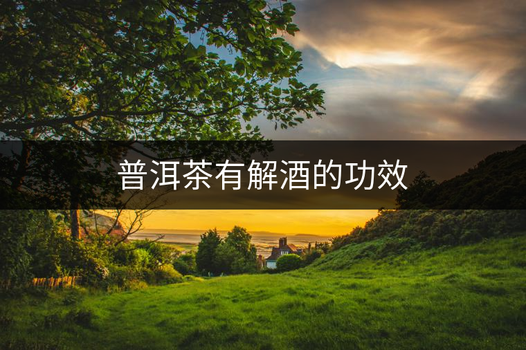 普洱茶有解酒的功效 普洱茶有解酒的功效