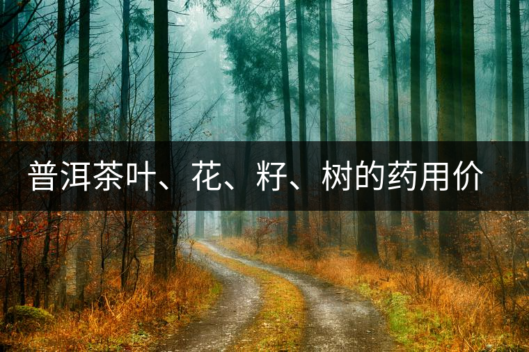 普洱茶葉、花、籽、樹的藥用價值