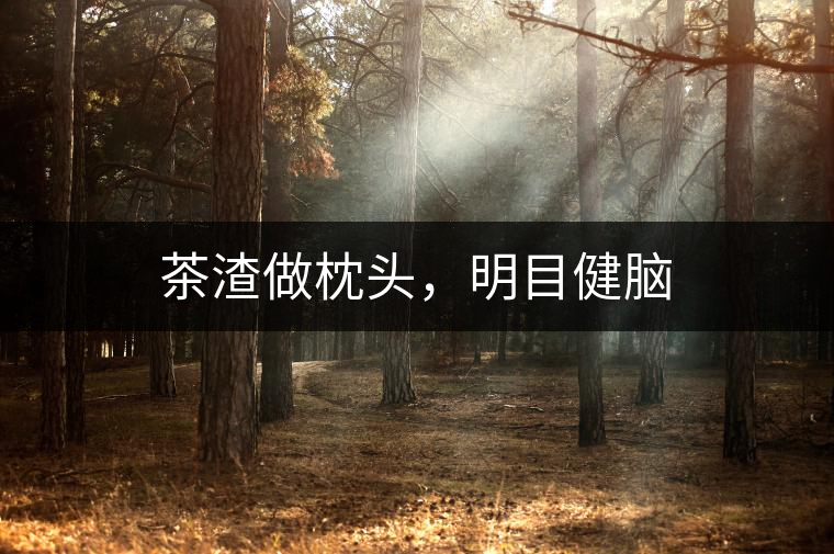 茶渣做枕頭，明目健腦