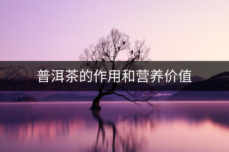 普洱茶的作用和營養(yǎng)價(jià)值 普洱茶的作用和營養(yǎng)價(jià)值